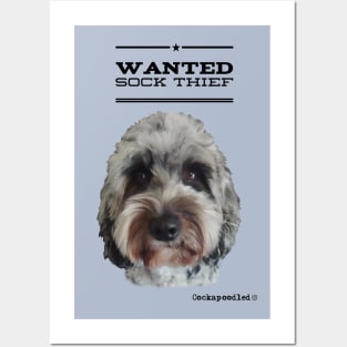 Cockapoo / Doodle Dog Sock Thief Posters and Art